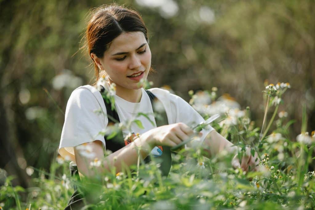 Notre guide pour devenir jardinier sans diplôme